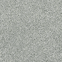 NEW ORLEANS DOVE Image