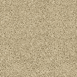 NEW ORLEANS BISCOTTI Image