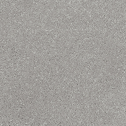 OLYMPIA 568 MUSHROOM Image