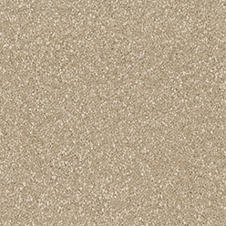 OLYMPIA 577 MACADAMIA Image