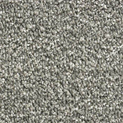 PHOENIX (CONDOR) 40 Image