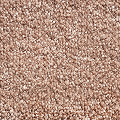 PHOENIX (CONDOR) 10 Image