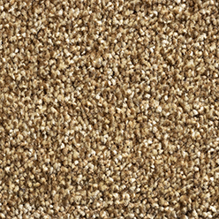 PHOENIX (CONDOR) 92 Image