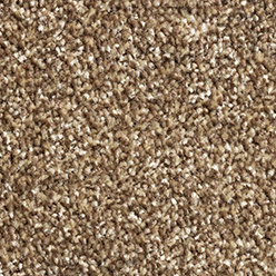 PHOENIX (CONDOR) 91 Image