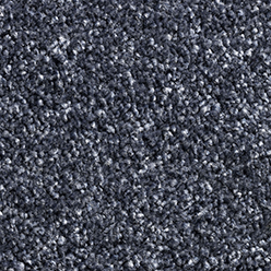 PHOENIX (CONDOR) 80 Image