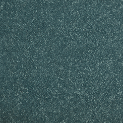 REGIS TWIST ACTION 773 SKY Image