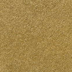 REGIS TWIST FELT 772 SUN Image