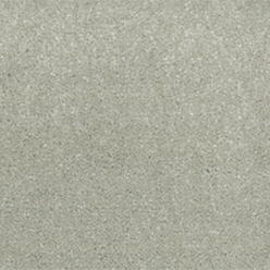 BANQUET OREGANO Image