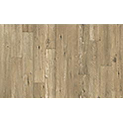 ROBUSTA XTREME TEX 667M TASMANIAN OAK(5008) Image