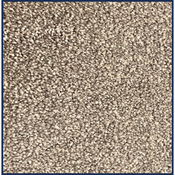 PLUTO 100 DECEDANT Image