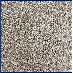 SATURN 180 FOSSIL Image