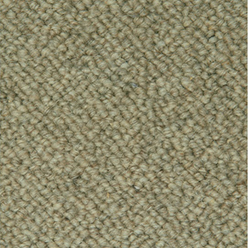 ORKNEY BERBER & RIB BERBER HEN HARRIER 0906 Image