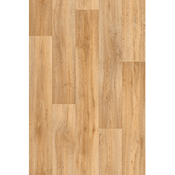 MASTERPIECE VAN GOGH Image