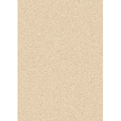 GRANIT SAFE T 21153 511 SAND Image