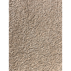 ALTA MODA CASABLANCA Image