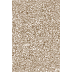 ROXI ACTION BISCOTTI Image