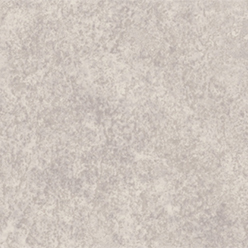 ALTRO ILLUSTRA LU2416 AMMONITE Image