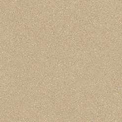 EVOKE SCALA 239L Image