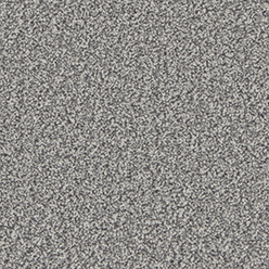 KINGSTON ELITE SILVER BIRCH Image