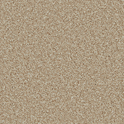 KINGSTON ELITE CARACAL Image