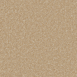 KINGSTON ELITE HAYSEED Image