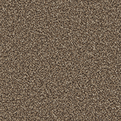 KINGSTON ELITE MOCHA Image