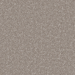 KINGSTON CLASSIC MUSHROOM Image