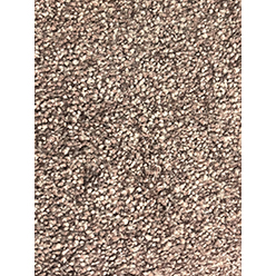 SEVILLA WISTERIA ACTIONBAC Image