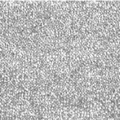 GRANDEUR ACTION 68 Image