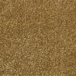 GRANDEUR ACTION 50 Image