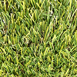 LAWNS 4 PAWS MILO Image
