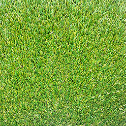 LAWNS 4 PAWS MAX Image