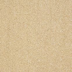 STAINFREE PANACHE 17 SEA SHELL Image