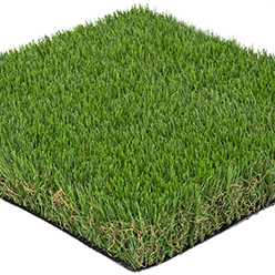 ESSENTIAL LAWNS ITALY 40MM Image