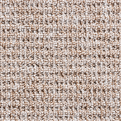 OREGON LOOP FAWN Image