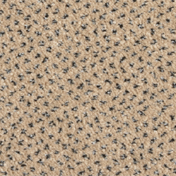 SCALA COMBINATION AB SED 250 MAGNOLIA (ENDURANCE) Image