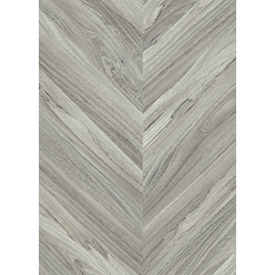 IPERFORM 70 WOODS OLYMPUS T91 Image