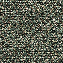 SOMERSET GEL FERN Image