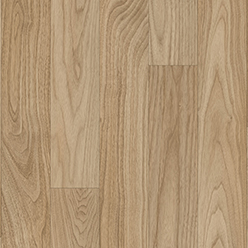 AMSTERDAM VINYL SCHIPOL Image