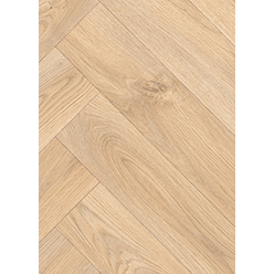 AMSTERDAM VINYL CANAL Image