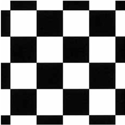 MONOCHROME VINYL CHECK Image