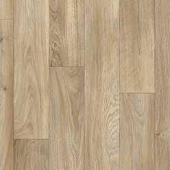 STUDIO CASA CAMARGUE 577 Image