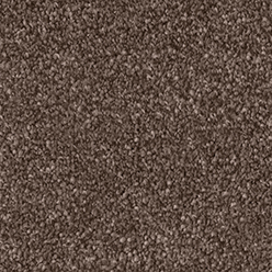 MONUMENTAL DELICATE ARCH Image