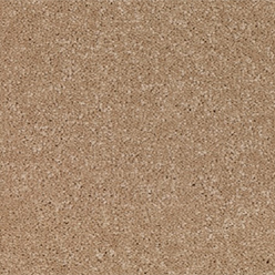 STARTWIST ELITE NEW 270 ALMOND Image