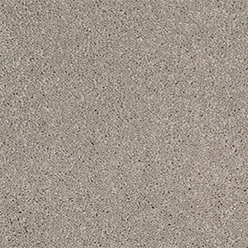 STARTWIST SUPREME NEW 862 PALOMA Image