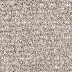 POLPERRO MUSHROOM Image