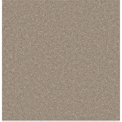 SENSATION ULTIMATE AMMONITE Image