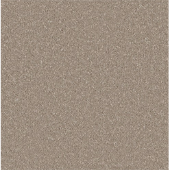 SENSATION ORIGINAL AMMONITE Image