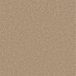 SENSATION ORIGINAL GAZELLE Image