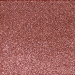 METRO MILE P 66666 Image